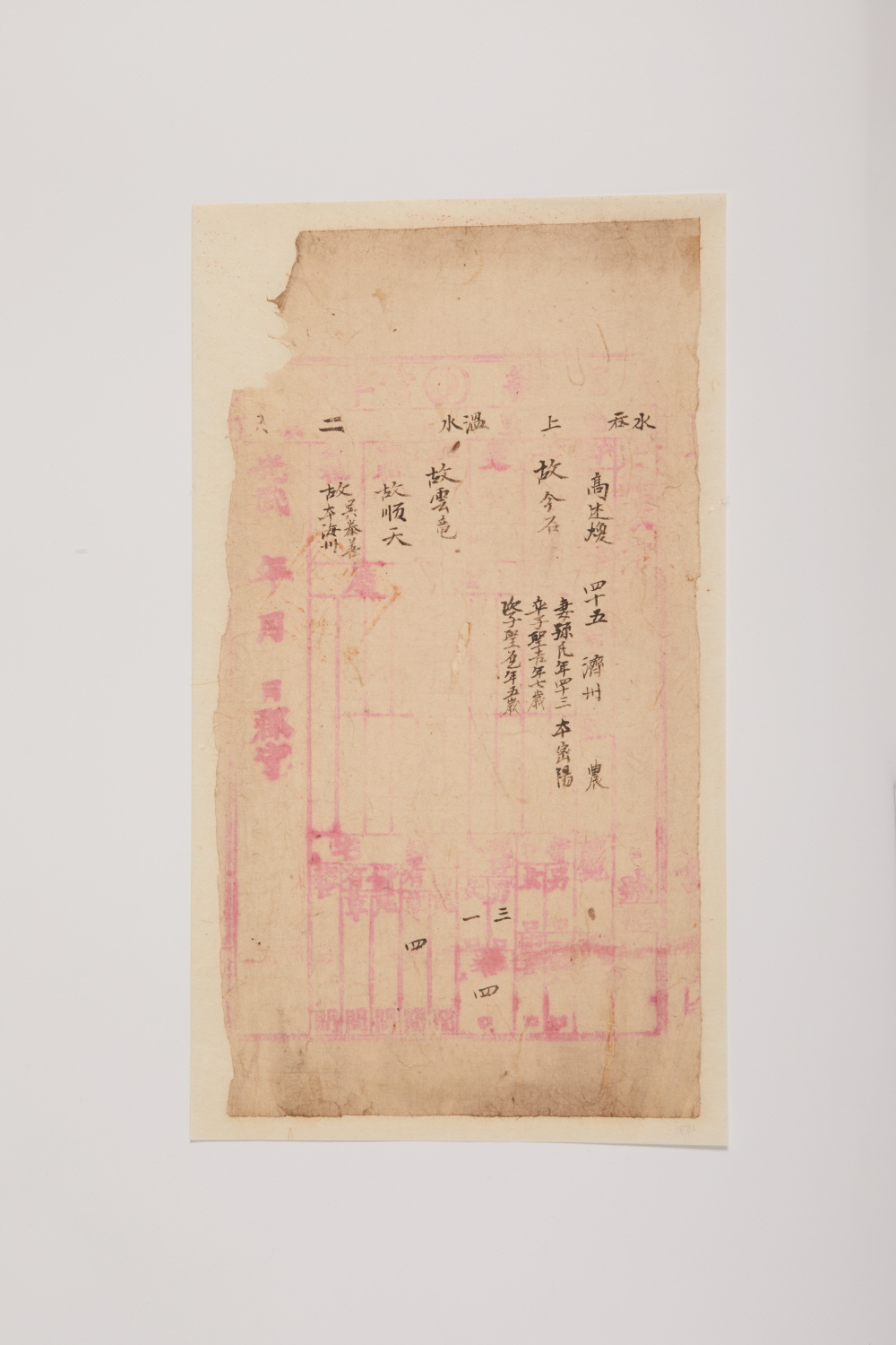 고술환(高述煥) 호적 자료 이미지